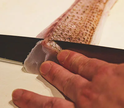 刺身引き
